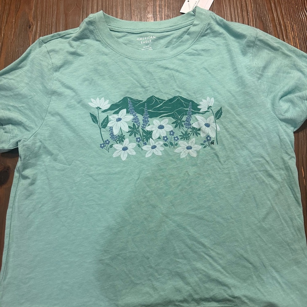 American Eagle Outfitters Teal T-Shirt